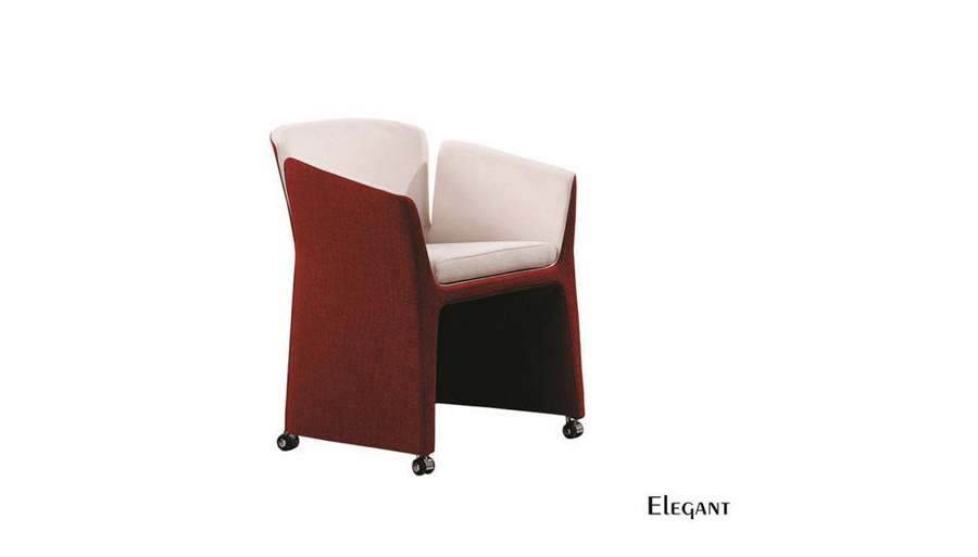 Elegant Lounge Chair